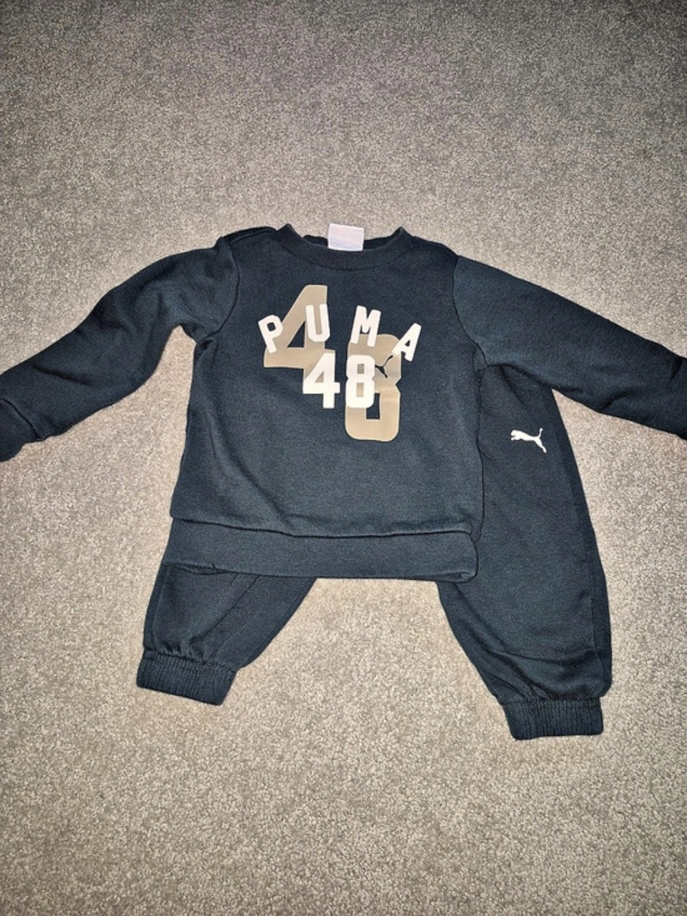 Puma Boys Size 2T Sweatshirt Jogger Set Emerald